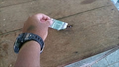 バガン 観光 風景 写真 photo Bagan