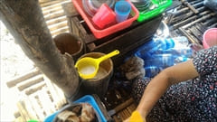 Dawei Wine Palm Fruit