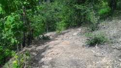 Dee Dote Waterfall Mandalay photo