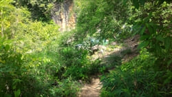 photo,Dee Dote Waterfall Myanmar Travel Information