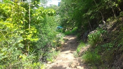 Dee Dote Waterfall Myanmar Travel Information