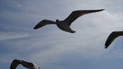 Inle Lake Boat Trip Photo