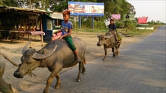 インレー湖市街 市内 Inle Lake city downtown 写真 photo
