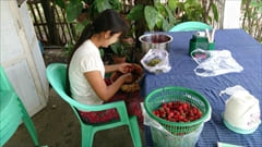 Red Star restaurant cafe Inle Lake