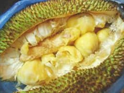 Jack Fruits