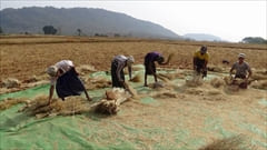 Kalaw Trekking Photo