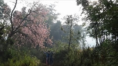 Kalaw Trekking Photo