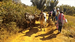 Kalaw Trekking Photo