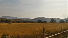 Kalaw Trekking Photo