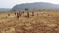 Kalaw Trekking Photo