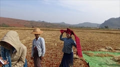 Kalaw Trekking Photo