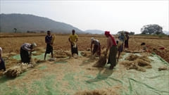 Kalaw Trekking Photo