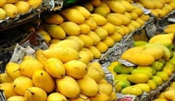 mango Mawlamyine Travel Information
