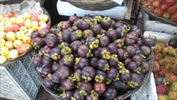 Mawlamyine mangosteen、