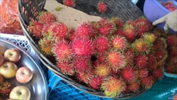 mawlamyine fruits market photo