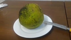 pamelon、Mawlamyine