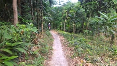 Myanmar Paradise Beach Bungalow Dawei Photo