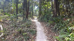 Myanmar Paradise Beach Bungalow Dawei Photo