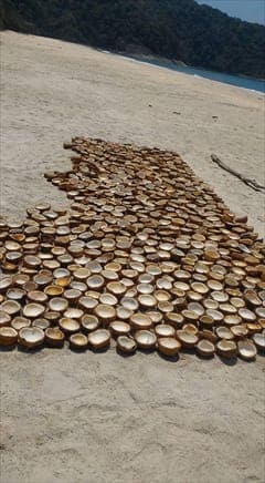 Myanmar Paradise Beach Bungalow Dawei Photo