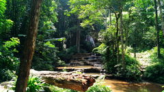 Namtok Pha Charoen National Park