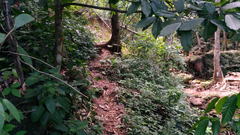 Namtok Pha Charoen National Park