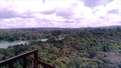 National Kandawgyi Gardens photo pyin oo lwin