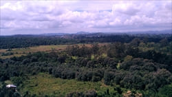 National Kandawgyi Gardens photo pyin oo lwin