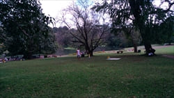 National Kandawgyi Gardens photo pyin oo lwin