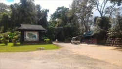 National Kandawgyi Gardens photo