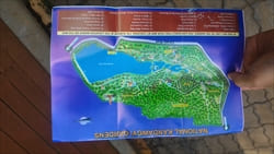 National Kandawgyi Gardens photo