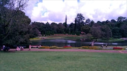 National Kandawgyi Gardens photo