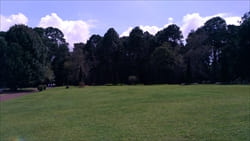 National Kandawgyi Gardens photo