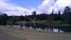 National Kandawgyi Gardens photo