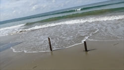 Ngwe Saung Beach Photo