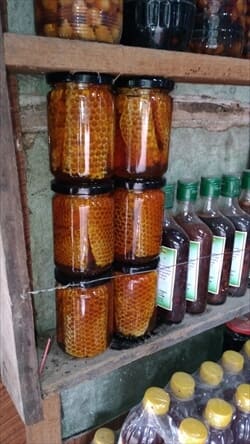 蜂蜜 photo Pwe Kauk Waterfall ピン・ウー・ルウィン,Pyin Oo Lwin