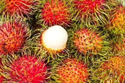 Rambutan.