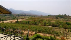 Red Mountain Estate Winery photo