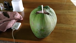 Sea Fun Restaurant タージン・ビーチ Thazin Beach Photo