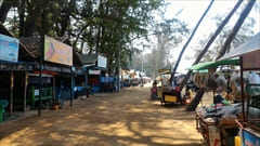  Shine Thar Yar Beach Dawei Photo