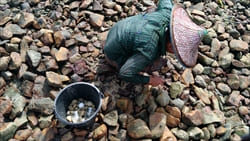 Snake Pagoda Thazin Beach Photo