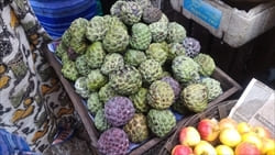 Sugar Apple, Mawlamyine