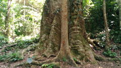 Taksin Maharat National Park