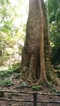 Taksin Maharat National Park