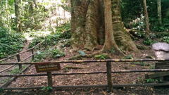 Taksin Maharat National Park