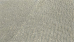 Ngwe Saung Beach Thazin Beach Photo