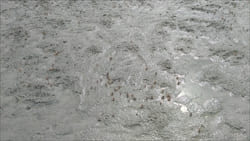 Ngwe Saung Beach Thazin Beach Photo tideland