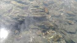 Ngwe Saung Beach Thazin Beach Photo tideland