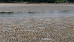 Ngwe Saung Beach Thazin Beach Photo tideland